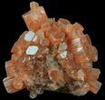 Aragonite Twinned Crystal Cluster - Morocco #59794-1